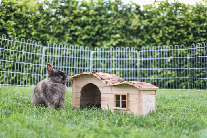 KERBL Kleintierhäuschen Welle